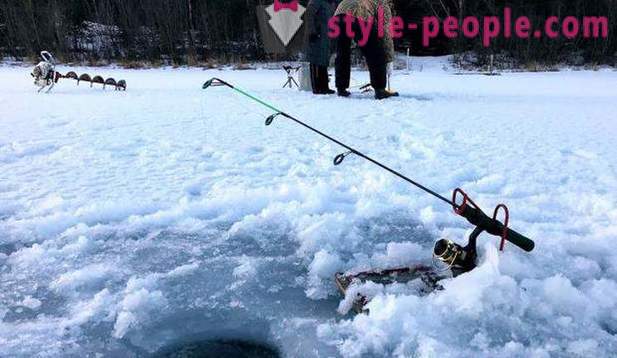 Metsästys ja kalastus Permin alueella: erityisesti kalastus, tyypit metsästys ja kalastus