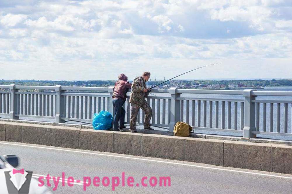 Kalastus Saratovin Volgan: valokuvat ja arvostelut