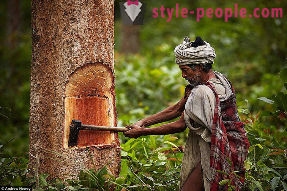 Viimeisen metsästäjä-keräilijät: elämään primitiivinen heimo Nepalissa