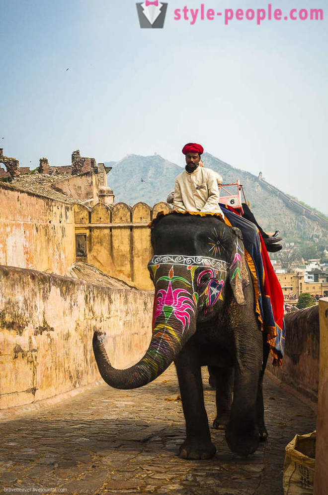 Matkustaa Jaipur Intian