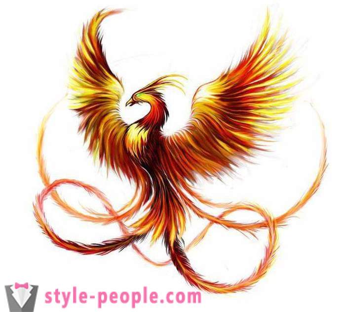 Phoenix Tatuointi: luonnoksia ja optiot