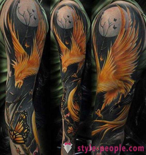 Phoenix Tatuointi: luonnoksia ja optiot