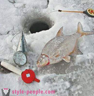 Lahna kalastus talvella: perinpohjin aloitteleville kalastajille